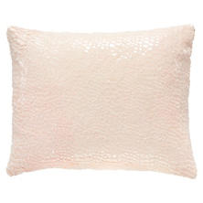 Gloss Velvet Slipper Pink Decorative Pillow
