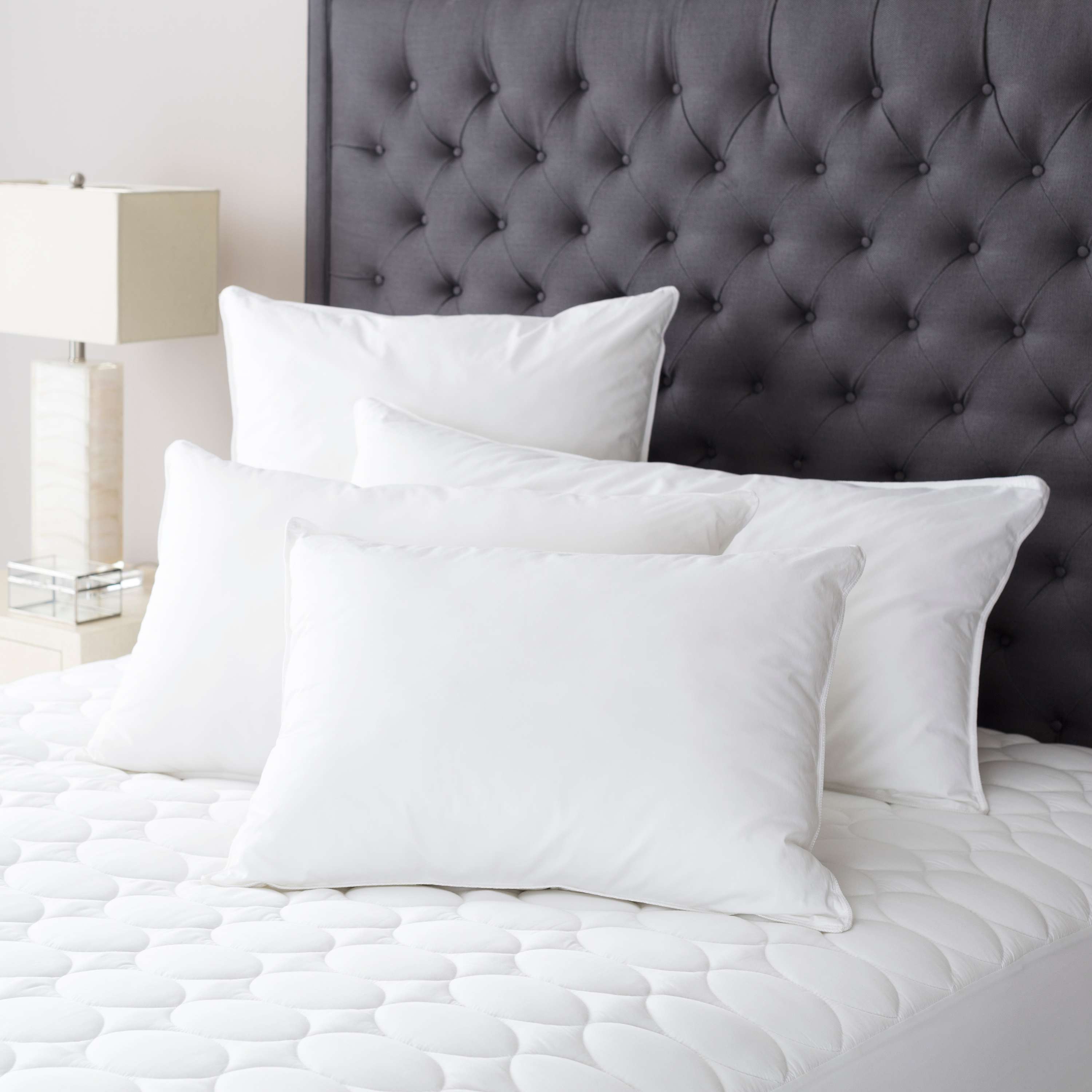 Mantra Down Alternative Pillow Insert Pine Cone Hill