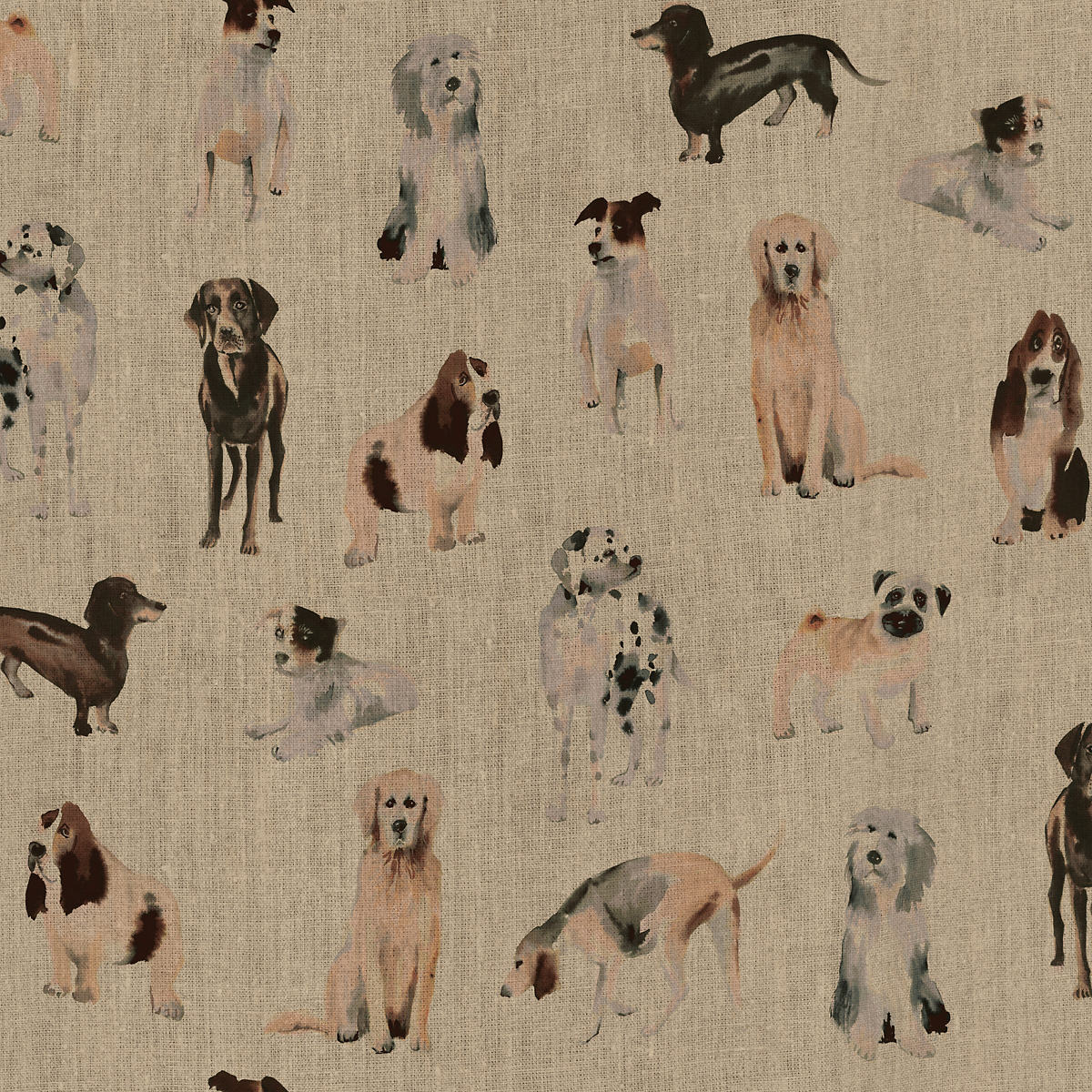 Woof Upholstery Swatch