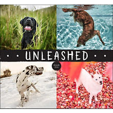 Unleashed Book
