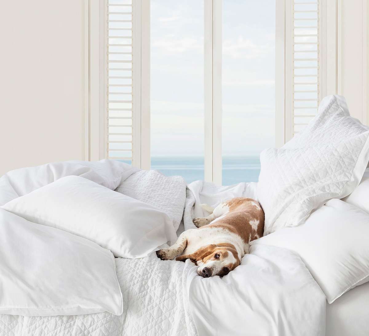 12 Products That Will Keep Your White Sheets Looking White